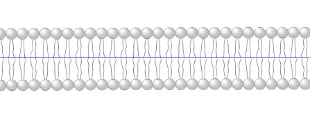 0_1730014993054_b3.jpg